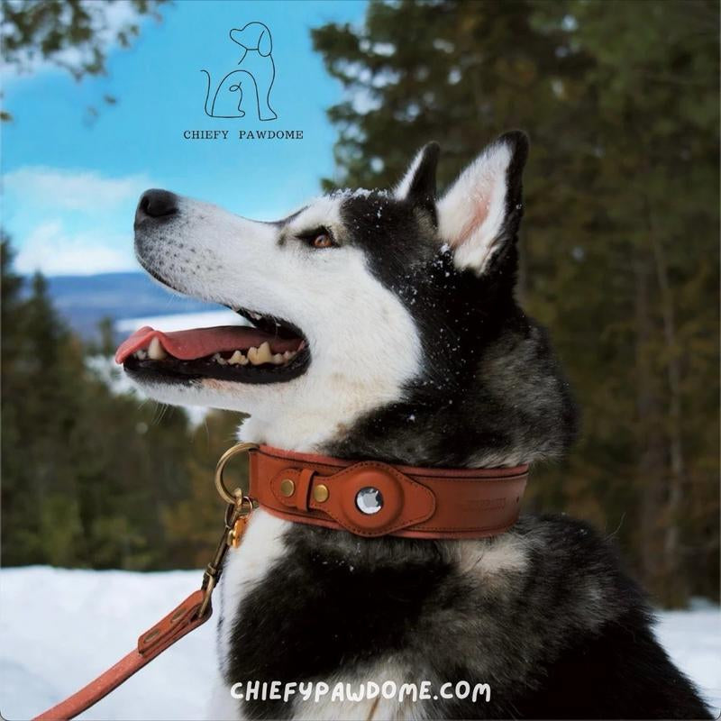 Premium Leather Airtag Collar + Anti-Lost Luxury Quality