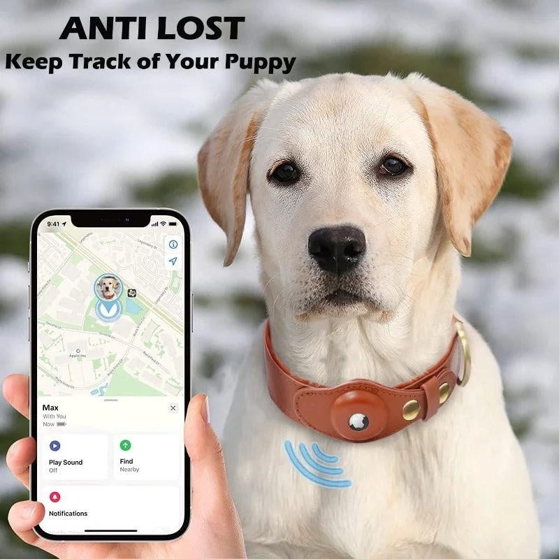 Premium Leather Airtag Collar + Anti-Lost Luxury Quality