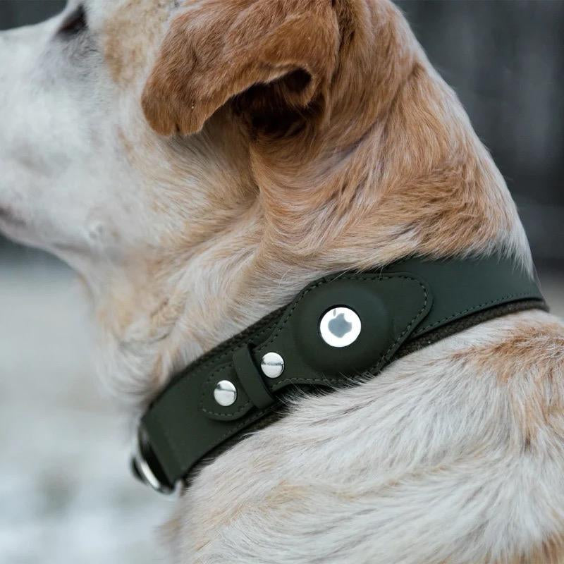 Premium Leather Airtag Collar + Anti-Lost Luxury Quality