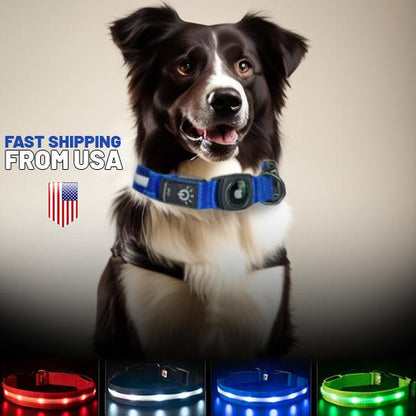 LED Dog Collar with Airtag Holder: Rechargeable, Waterproof, Adjustable, Soft, Reflective