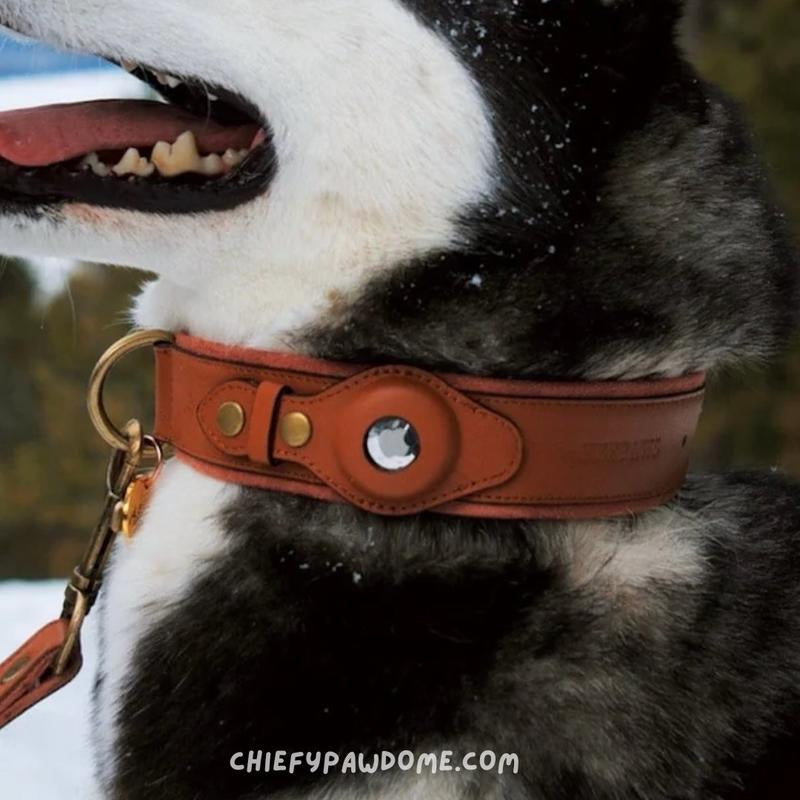 Premium Leather Airtag Collar + Anti-Lost Luxury Quality