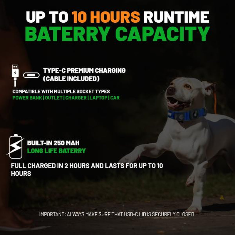 LED Dog Collar with Airtag Holder: Rechargeable, Waterproof, Adjustable, Soft, Reflective