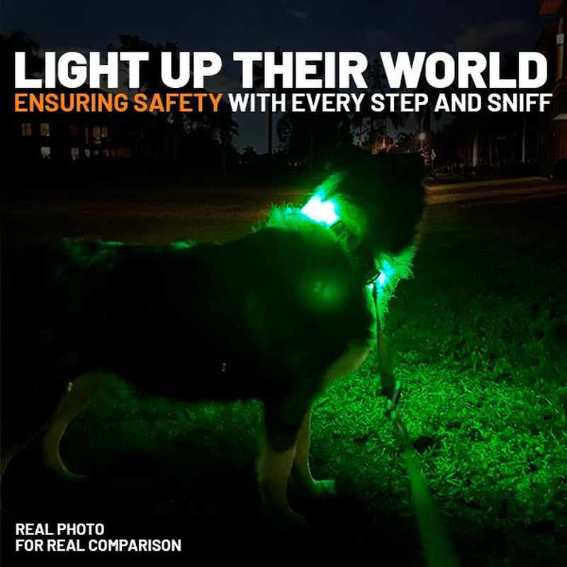 LED Dog Collar with Airtag Holder: Rechargeable, Waterproof, Adjustable, Soft, Reflective